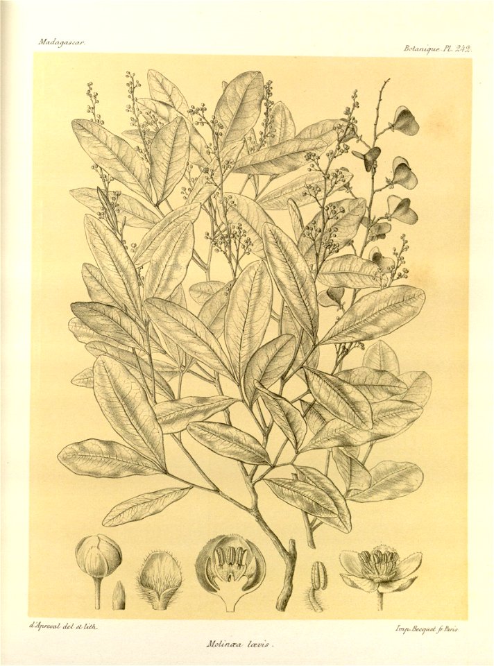n121_w1150