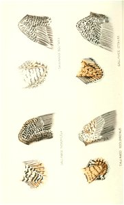 n183_w1150