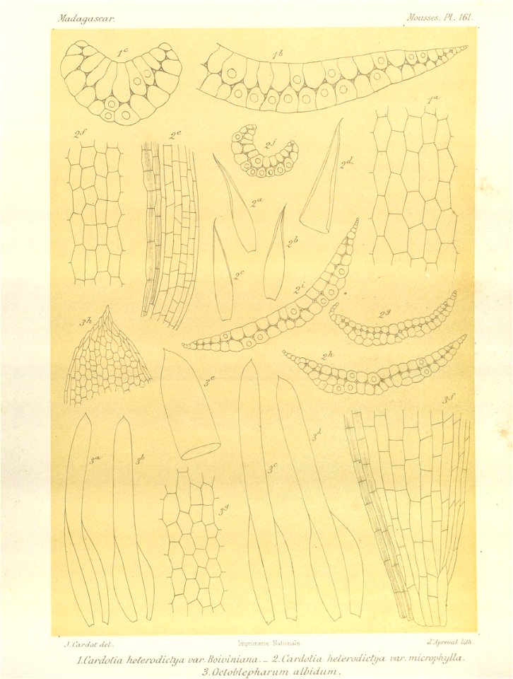 n31_w1150
