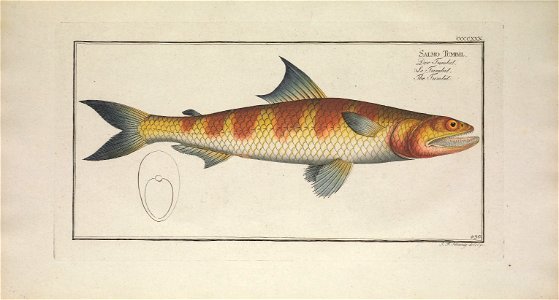 n402_w1150
