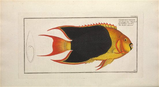 n377_w1150