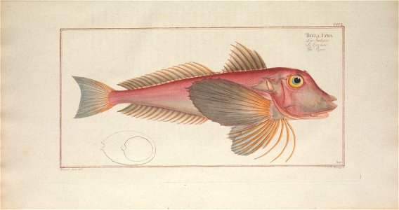 n340_w1150