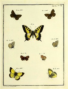 n186_w1150