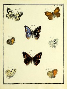 n184_w1150