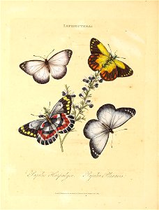 n91_w1150
