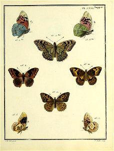 n122_w1150