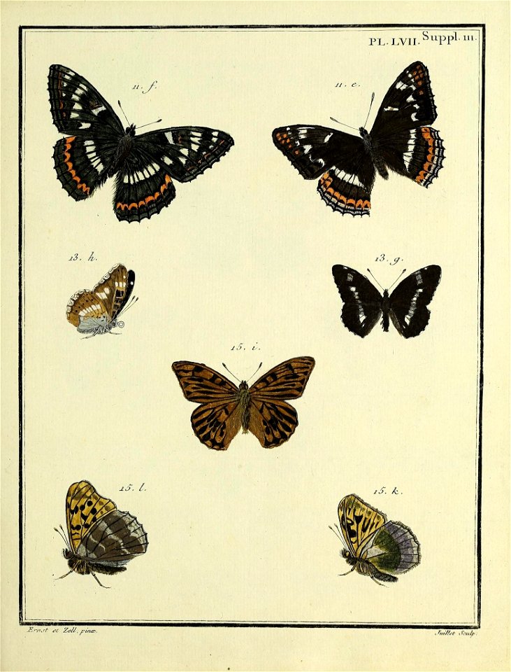 n120_w1150