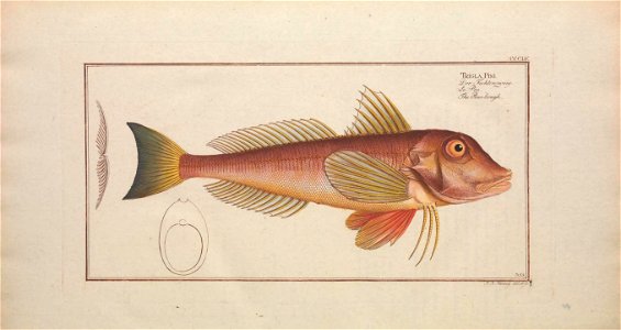 n365_w1150