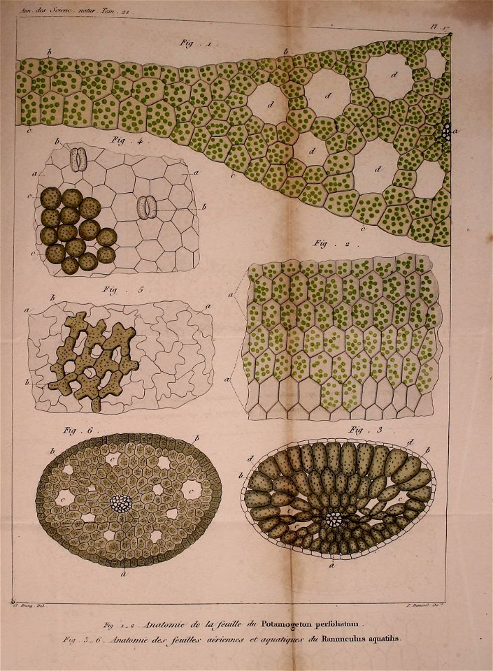 n536_w1150