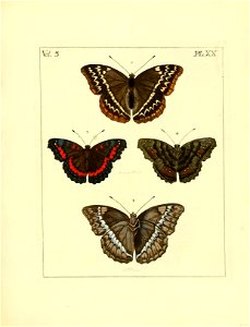 n98_w1150