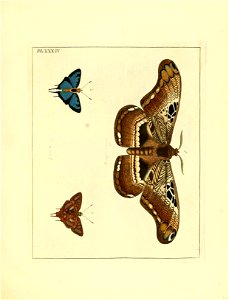 n148_w1150