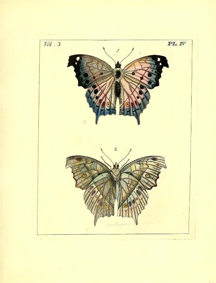 n46_w1150