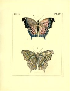 n46_w1150