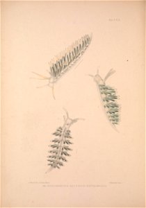 n411_w1150