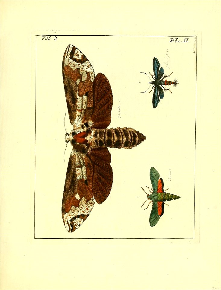 n44_w1150