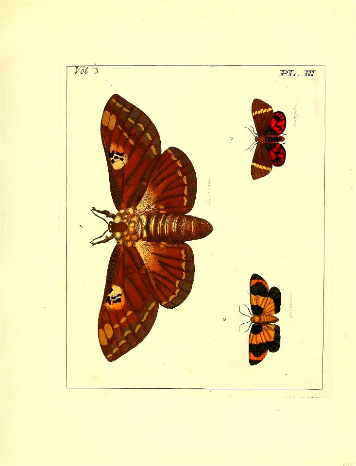 n42_w1150