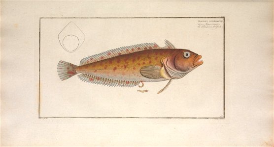 n152_w1150