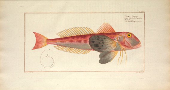 n360_w1150