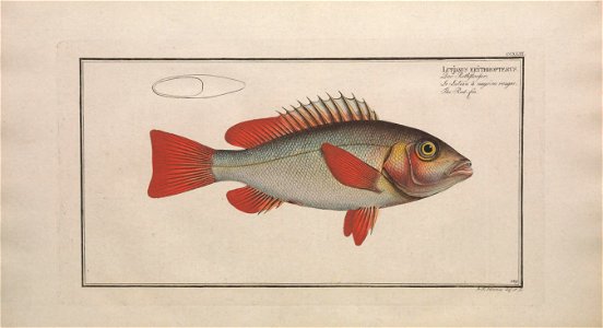 n175_w1150