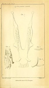n652_w1150