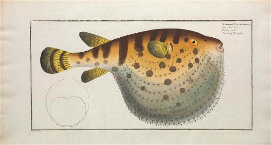 n429_w1150