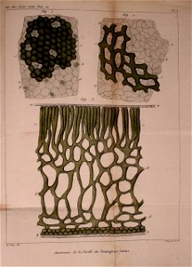 n528_w1150