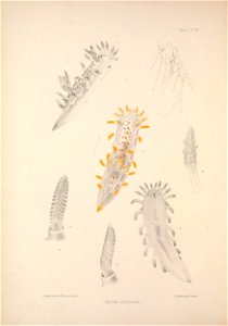 n183_w1150