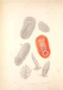 n101_w1150