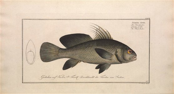 n57_w1150