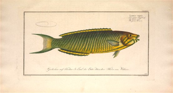n362_w1150