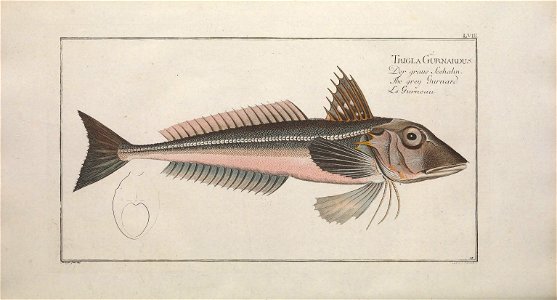 n451_w1150