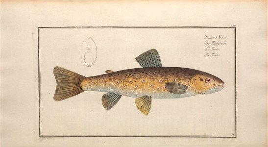n181_w1150