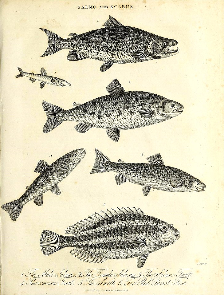 n676_w1150