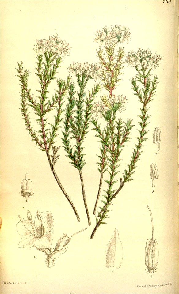 n56_w1150