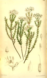 n56_w1150
