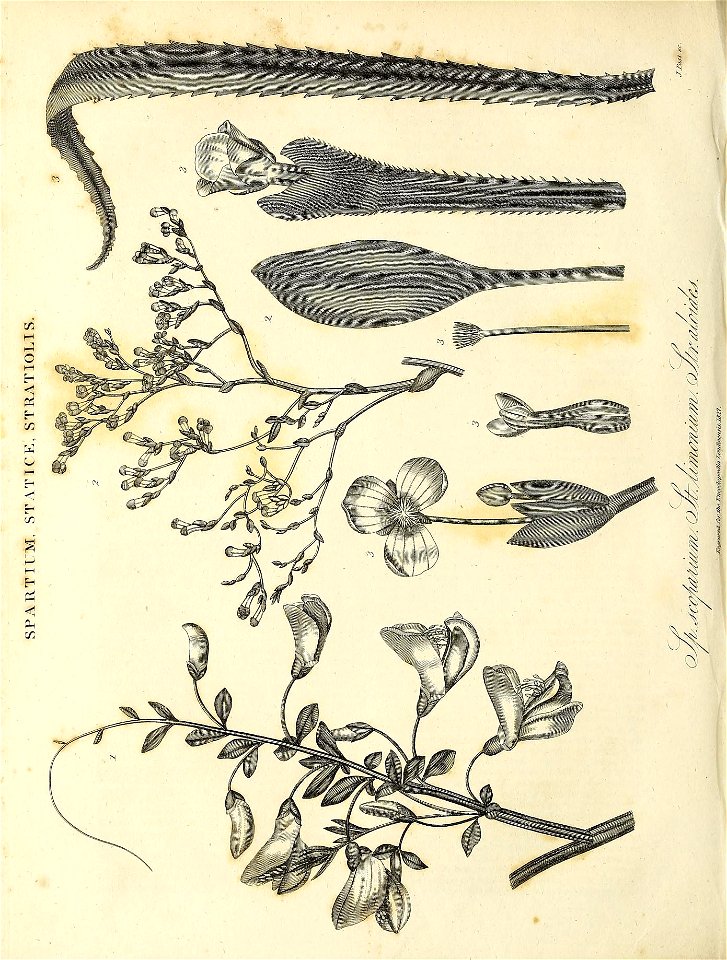 n507_w1150