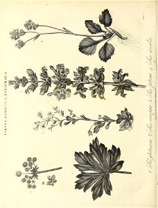 n691_w1150