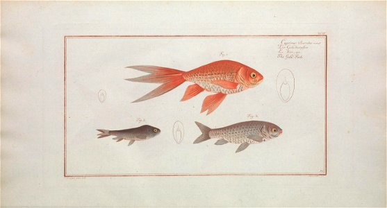 n163_w1150
