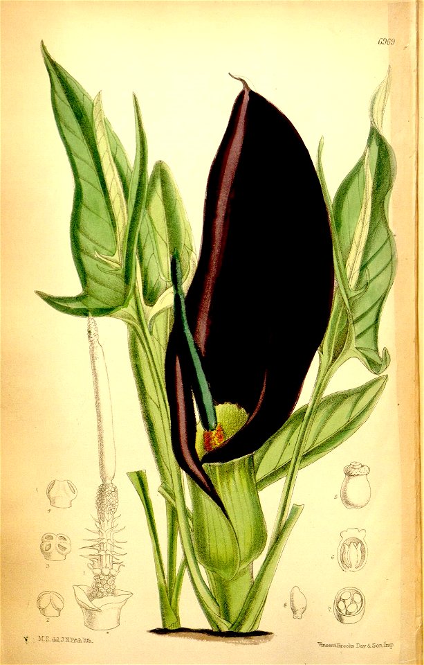 n171_w1150