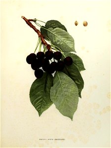 n110_w1150