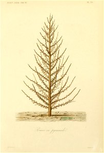 n166_w1150