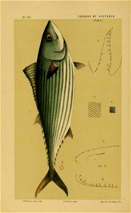 n37_w1150