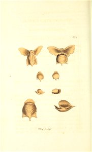n167_w1150