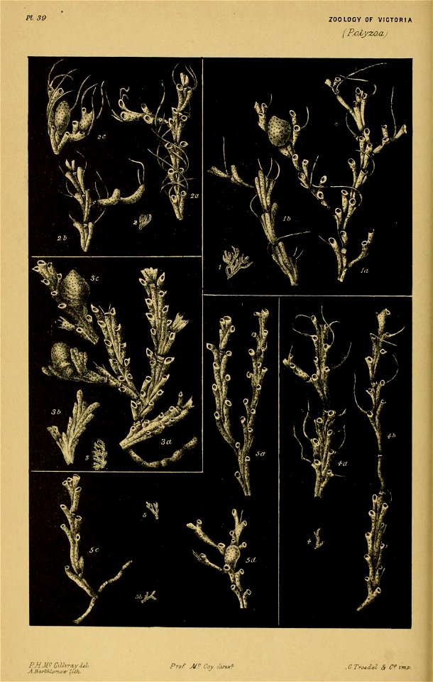 n279_w1150
