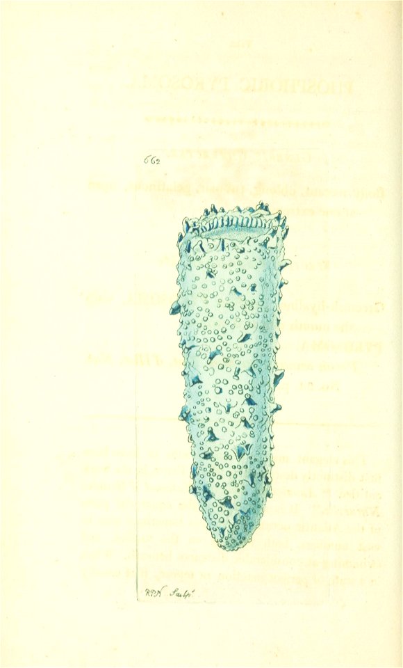 n155_w1150