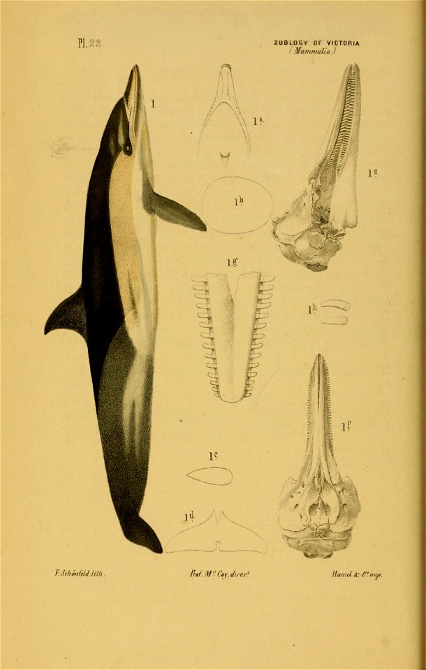 n157_w1150