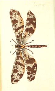 n235_w1150