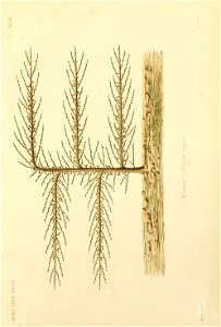n174_w1150