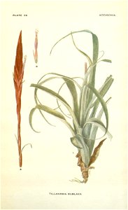 n119_w1150