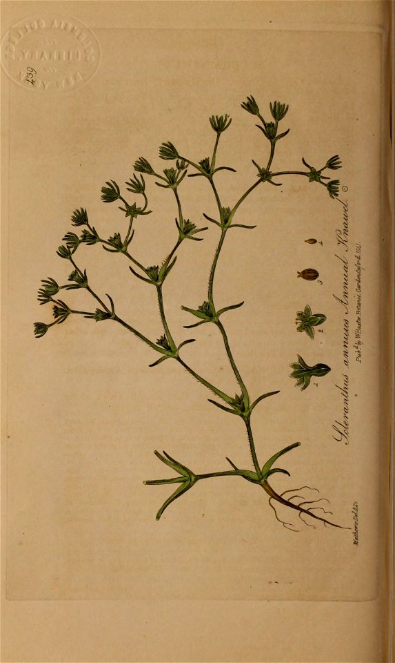 n163_w1150